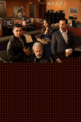 海军罪案调查处第二十二季