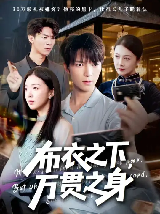 布衣之下万贯之身
